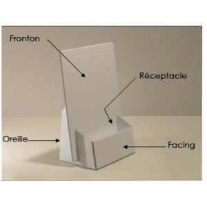 250 présentoir carton format 15x21x3 cm